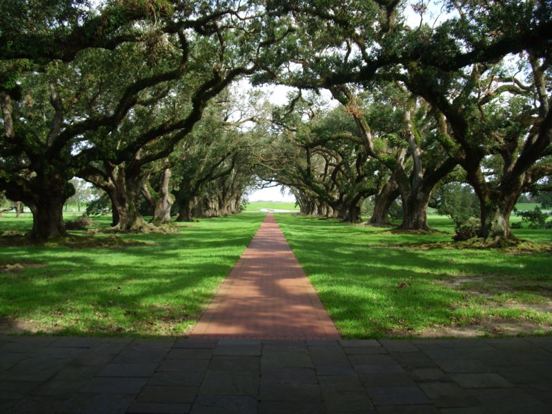 oakalleyplantationlouisiana.jpg