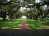 oakalleyplantationlouisiana_small.jpg