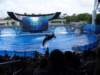 seaworldorlandoflorida17_small.jpg