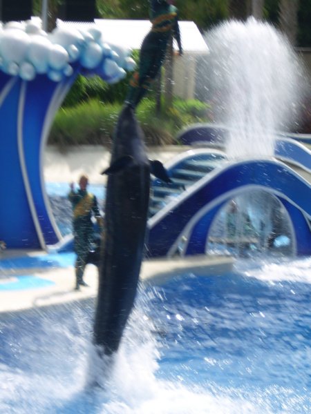 seaworldorlandoflorida4.jpg